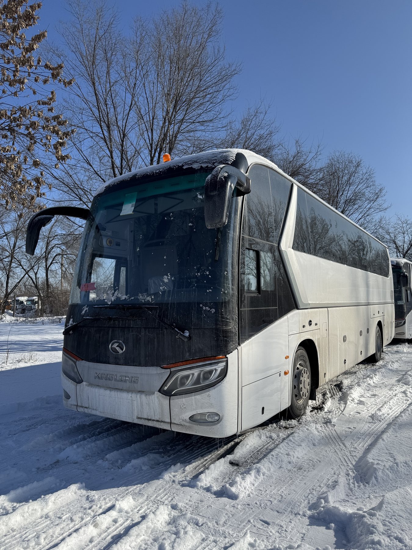 Автобусы King Long